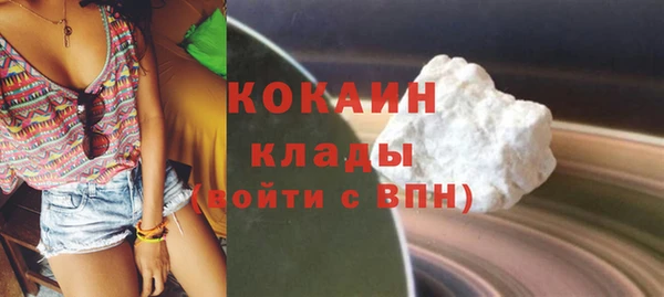 прущие грибы Лихославль