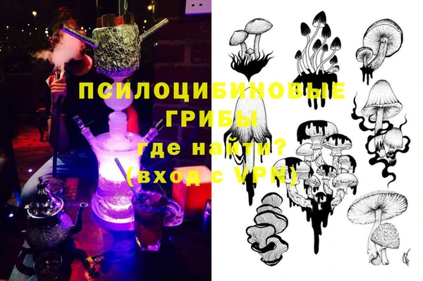 тгк Лиски