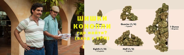 ПСИЛОЦИБИНОВЫЕ ГРИБЫ Гусиноозёрск
