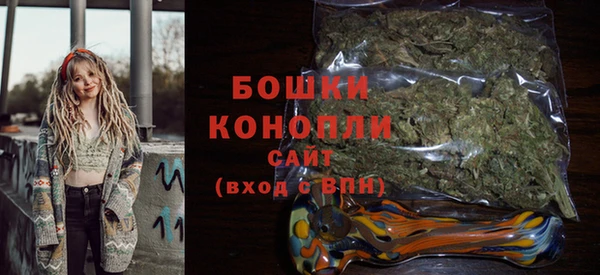 индика Гусев
