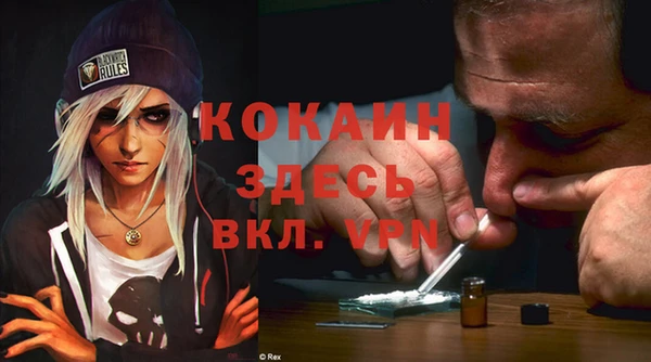 прущие грибы Лихославль