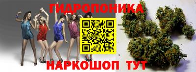 мдпв Гатчина