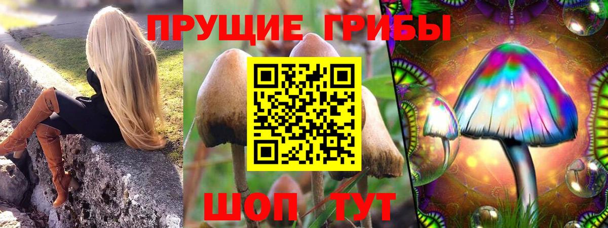 Псилоцибиновые грибы Cubensis Воронеж