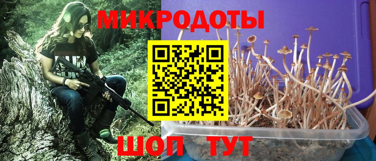 купить наркотики сайты  Воронеж  Галлюциногенные грибы мухоморы 